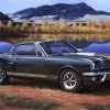 Revell 07242 Shelby Mustang GT 350 H