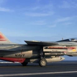 Revell 03960 F-14D Super Tomcat -Revell 17174 from main 15107646